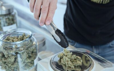 Security Needs for Cannabis Dispensaries 